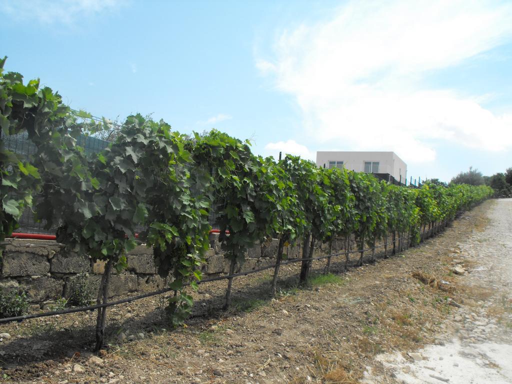 Agriturismoeloropizzuta Lido di Noto Kültér fotó