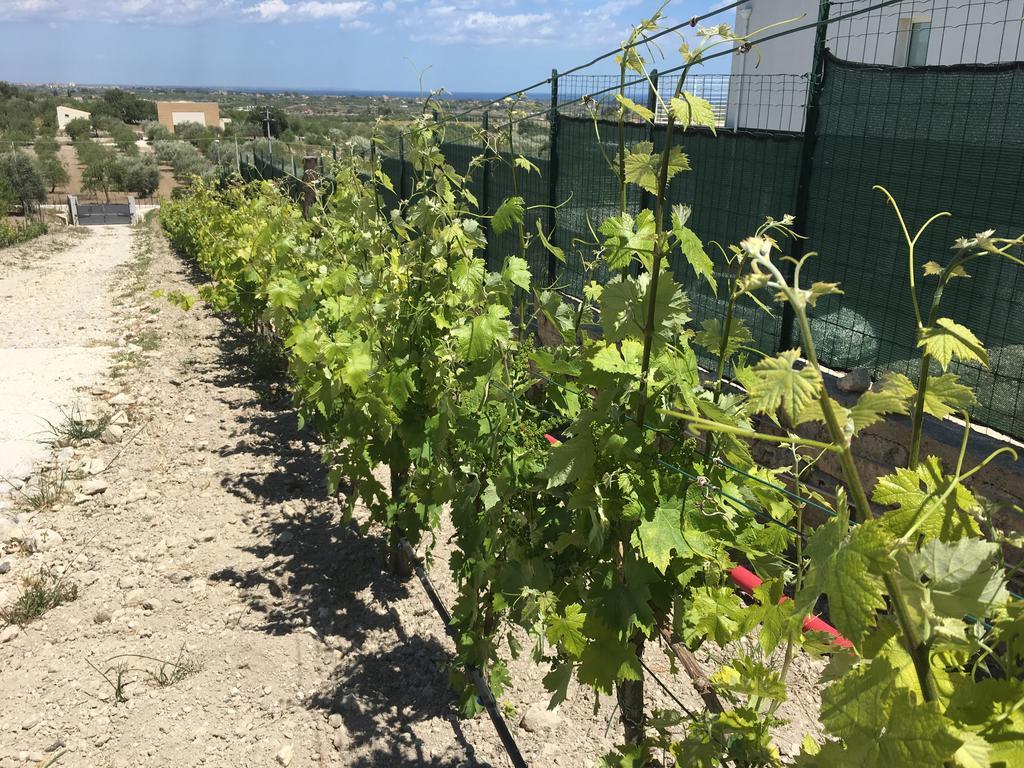 Agriturismoeloropizzuta Lido di Noto Kültér fotó